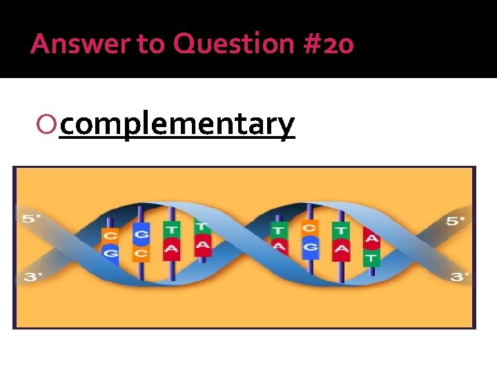 Answer to Question #20 complementary 