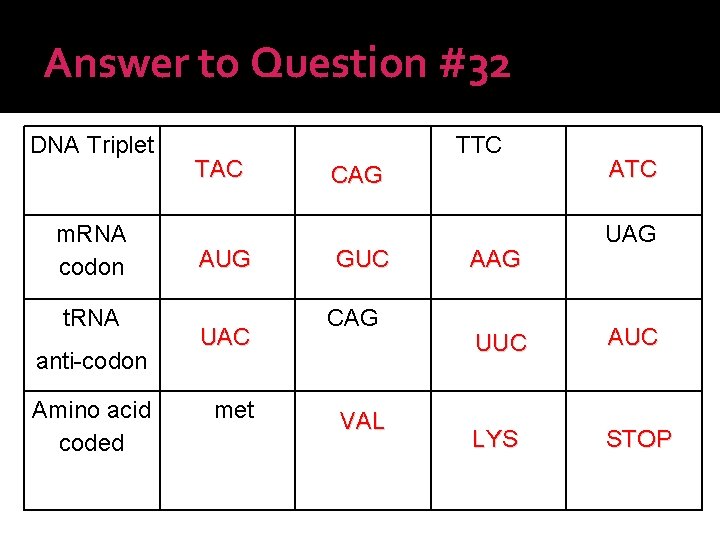  • Use the base pairing rules to correctly match the nitrogen bases together.