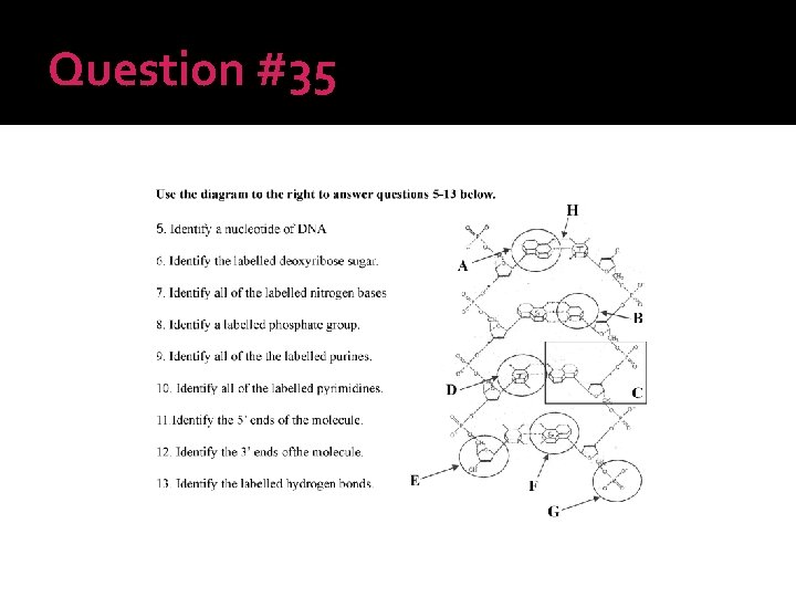 Question #35 
