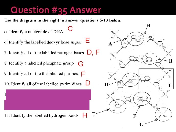 Question #35 Answer C E D, F G F D H 