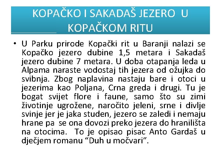 KOPAČKO I SAKADAŠ JEZERO U KOPAČKOM RITU • U Parku prirode Kopački rit u