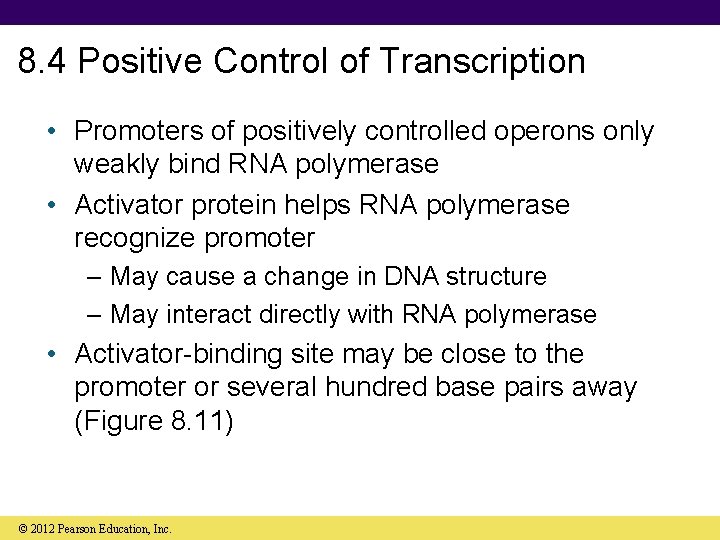 8. 4 Positive Control of Transcription • Promoters of positively controlled operons only weakly