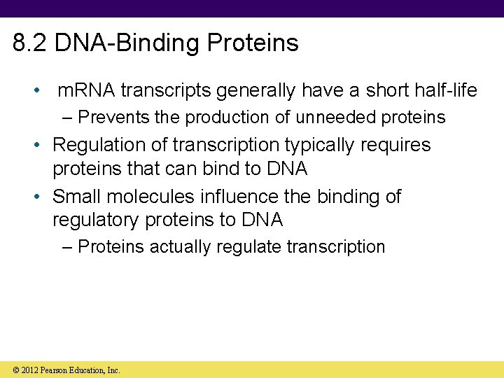 8. 2 DNA-Binding Proteins • m. RNA transcripts generally have a short half-life –