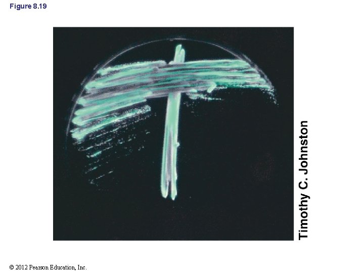 Figure 8. 19 © 2012 Pearson Education, Inc. 