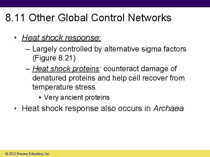 8. 11 Other Global Control Networks • Heat shock response: – Largely controlled by