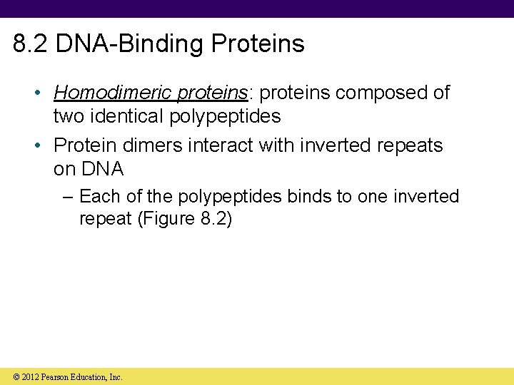 8. 2 DNA-Binding Proteins • Homodimeric proteins: proteins composed of two identical polypeptides •