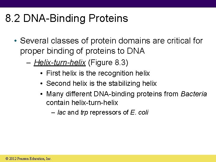 8. 2 DNA-Binding Proteins • Several classes of protein domains are critical for proper