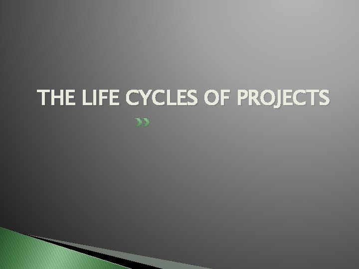 THE LIFE CYCLES OF PROJECTS THE LIFE CYCLES OF PROJECTS