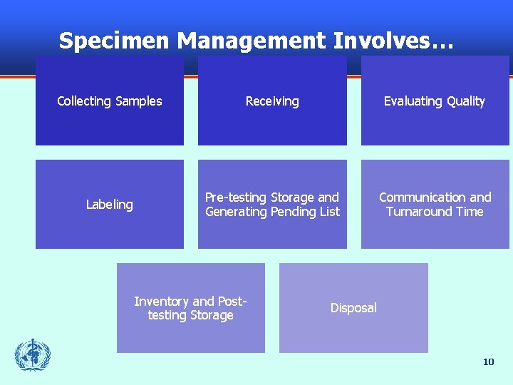 Specimen Management Involves… Collecting Samples Receiving Evaluating Quality Labeling Pre-testing Storage and Generating Pending