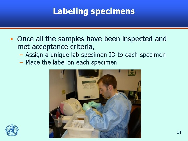 Labeling specimens § Once all the samples have been inspected and met acceptance criteria,