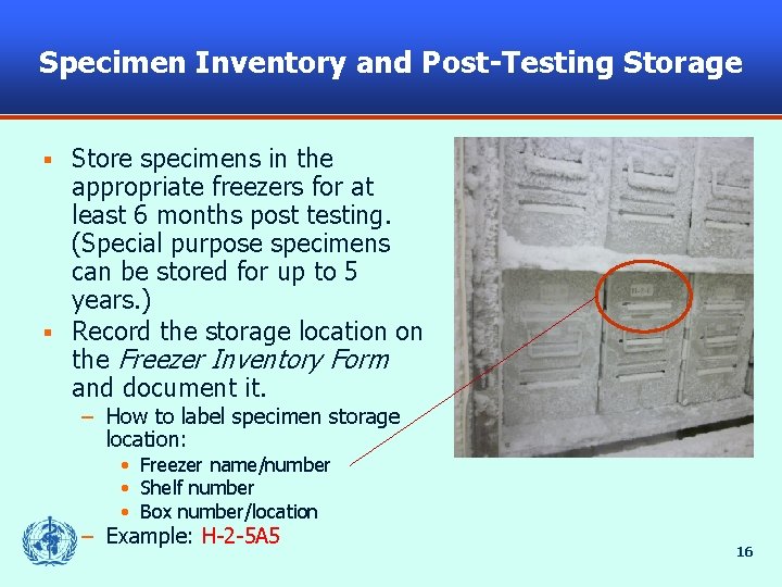 Specimen Inventory and Post-Testing Storage Store specimens in the appropriate freezers for at least