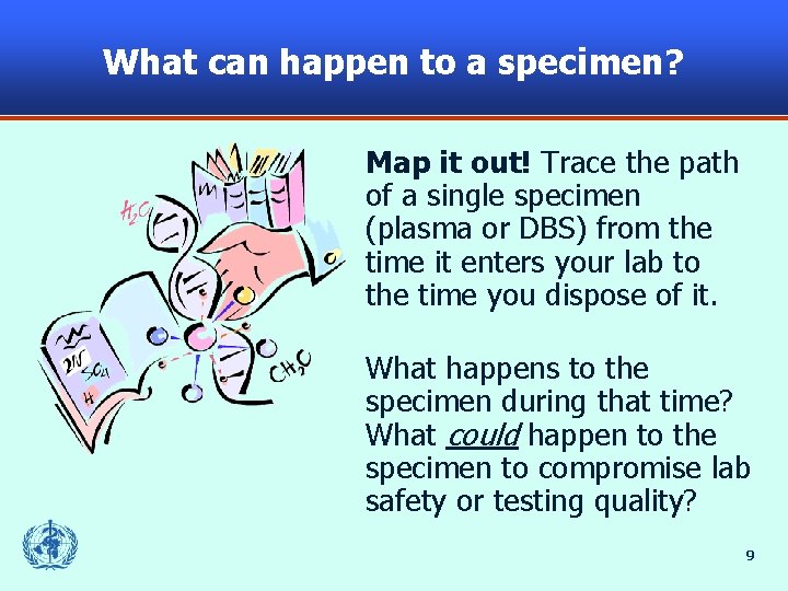 What can happen to a specimen? Map it out! Trace the path of a