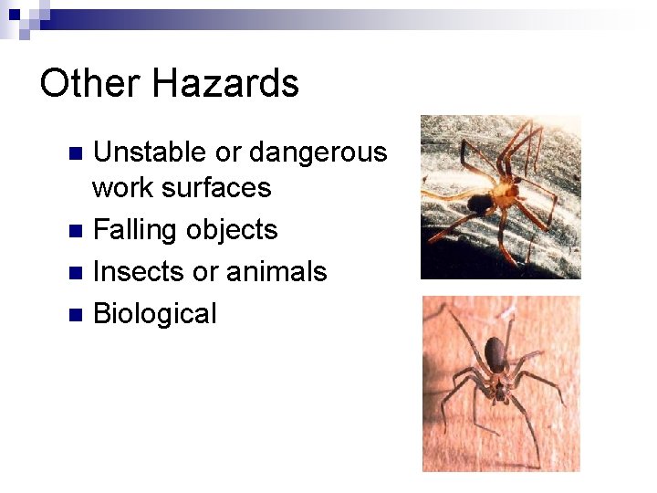 Other Hazards Unstable or dangerous work surfaces n Falling objects n Insects or animals