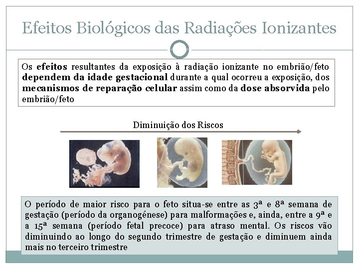 Efeitos Biológicos das Radiações Ionizantes Os efeitos resultantes da exposição à radiação ionizante no