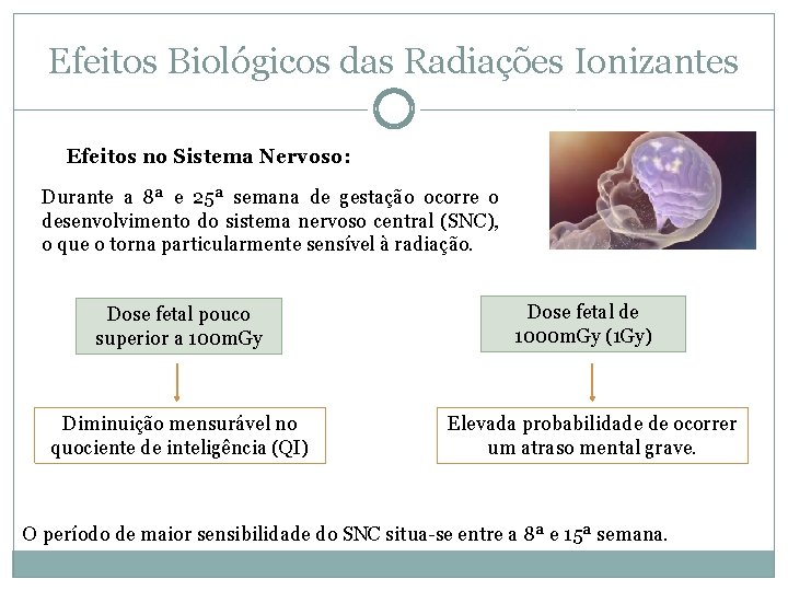 Efeitos Biológicos das Radiações Ionizantes Efeitos no Sistema Nervoso: Durante a 8ª e 25ª