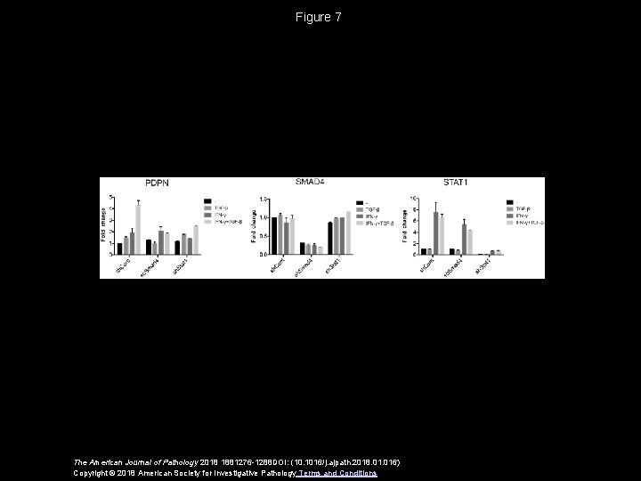 Figure 7 The American Journal of Pathology 2018 1881276 -1288 DOI: (10. 1016/j. ajpath.