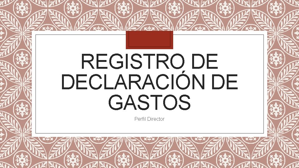 REGISTRO DE DECLARACIÓN DE GASTOS Perfil Director 