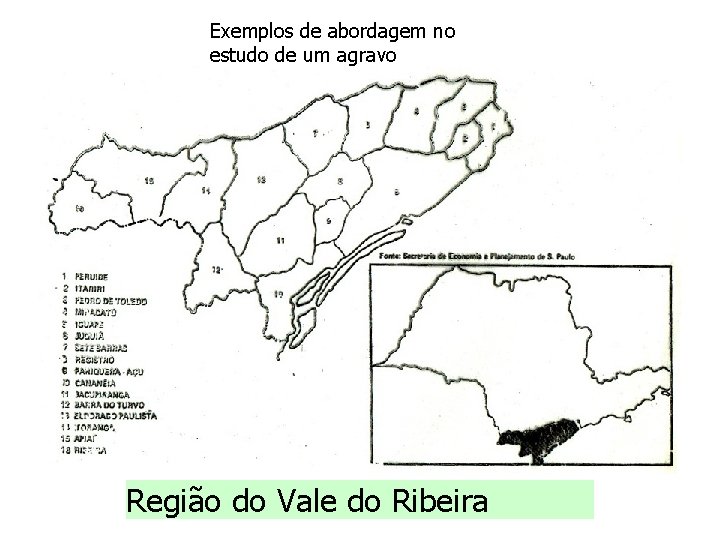 Exemplos de abordagem no estudo de um agravo Região do Vale do Ribeira 