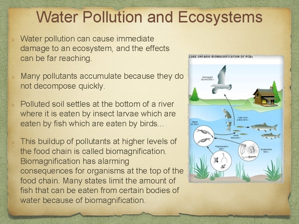 Water Pollution and Ecosystems Water pollution cause immediate damage to an ecosystem, and the