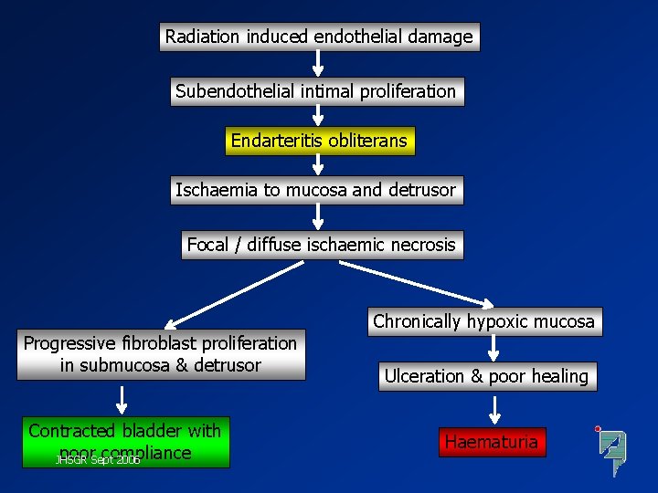 Radiation induced endothelial damage Subendothelial intimal proliferation Endarteritis obliterans Ischaemia to mucosa and detrusor