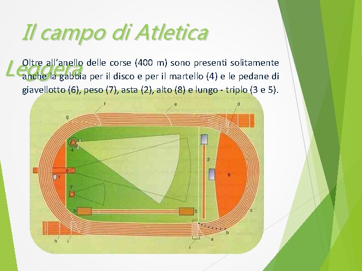 Il campo di Atletica Leggera Oltre all’anello delle corse (400 m) sono presenti solitamente