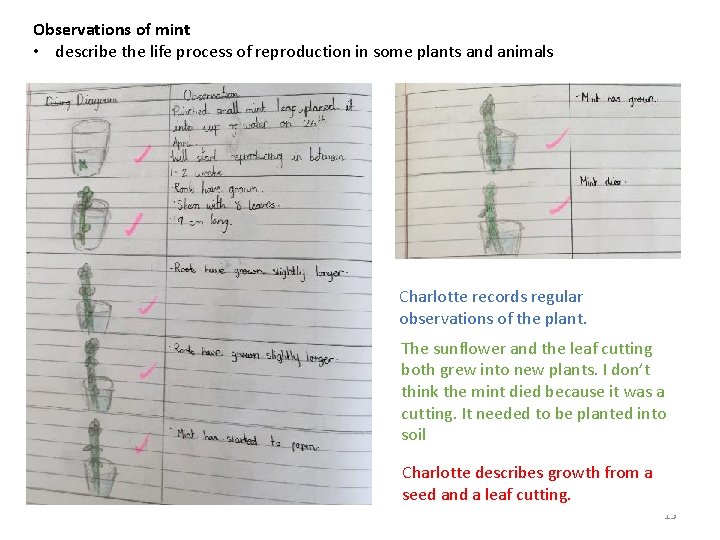 PLAN Primary Science Supporting Assessment Animals including Humans