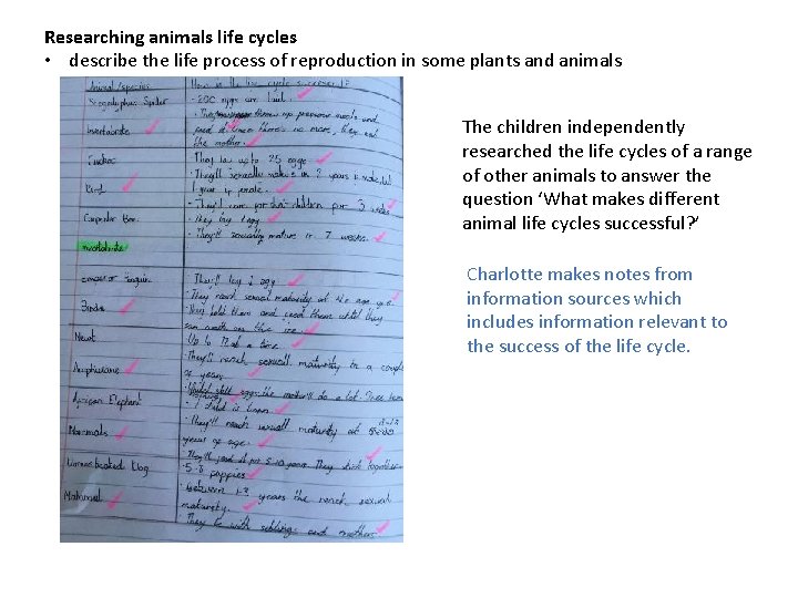 PLAN Primary Science Supporting Assessment Animals including Humans