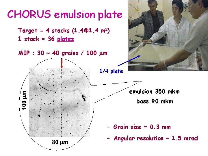 CHORUS emulsion plate Target = 4 stacks (1. 4 m 2) 1 stack =