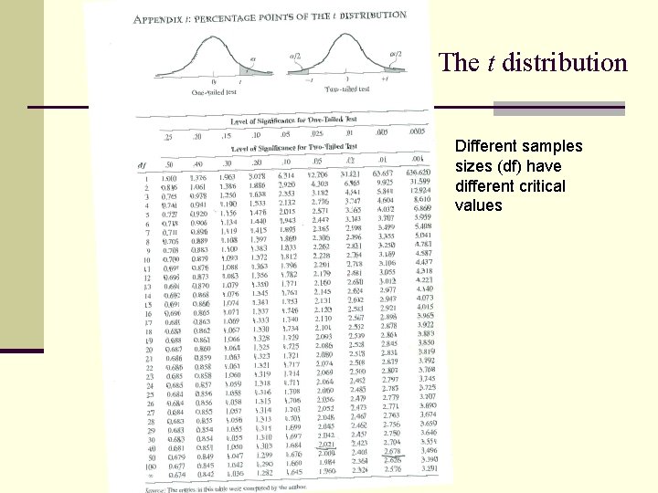 The t distribution Different samples sizes (df) have different critical values 