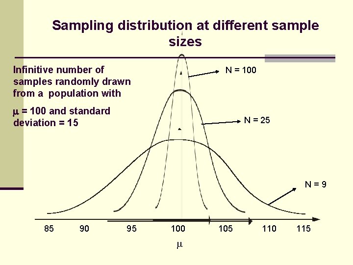 Sampling distribution at different sample sizes Infinitive number of samples randomly drawn from a