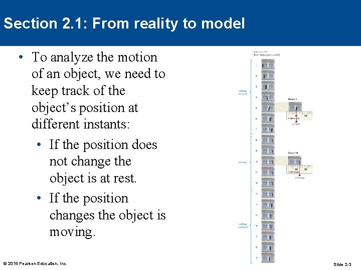 Section 2. 1: From reality to model • To analyze the motion of an