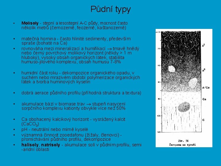 Půdní typy • Molisoly - stepní a lesostepní A-C půdy, mocnost často • matečná