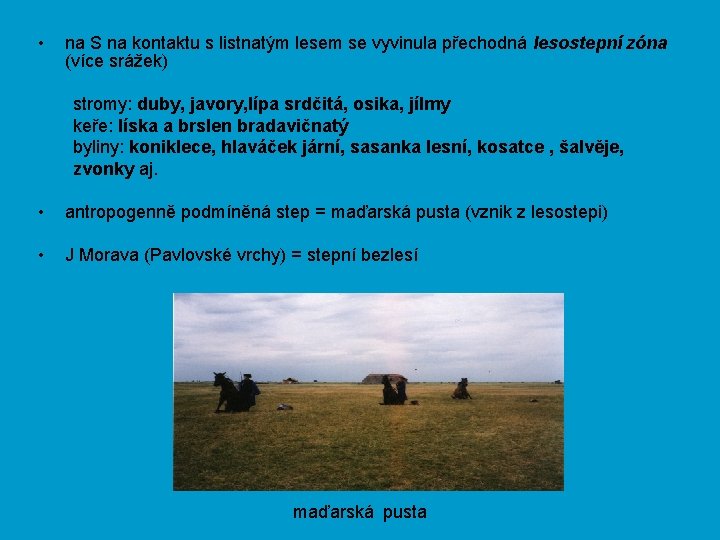  • na S na kontaktu s listnatým lesem se vyvinula přechodná lesostepní zóna