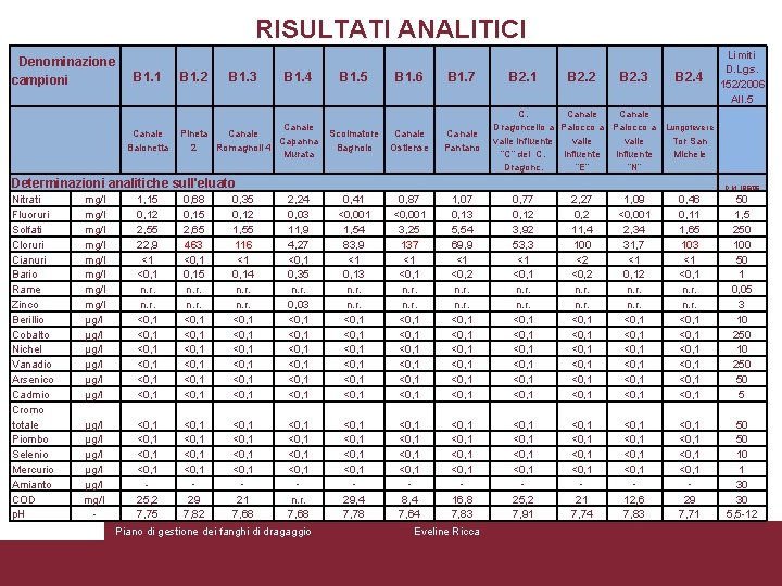 RISULTATI ANALITICI Denominazione campioni B 1. 1 Canale Baionetta B 1. 2 B 1.