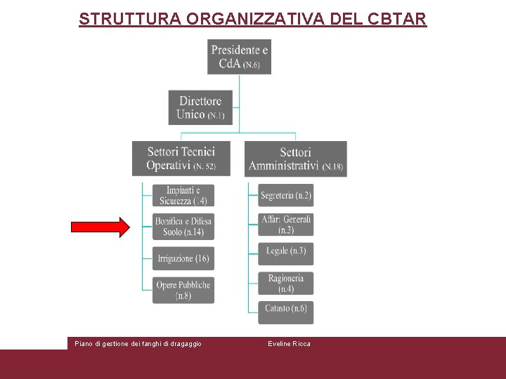 STRUTTURA ORGANIZZATIVA DEL CBTAR Piano di gestione dei fanghi di dragaggio Eveline Ricca 