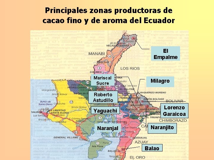 Principales zonas productoras de cacao fino y de aroma del Ecuador El Empalme Mariscal