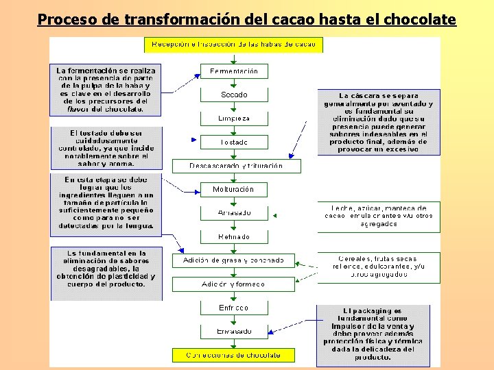 Proceso de transformación del cacao hasta el chocolate 