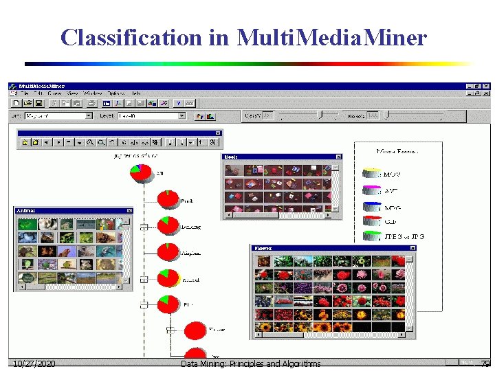 Classification in Multi. Media. Miner 10/27/2020 Data Mining: Principles and Algorithms 79 Classification in Multi. Media. Miner 10/27/2020 Data Mining: Principles and Algorithms 79