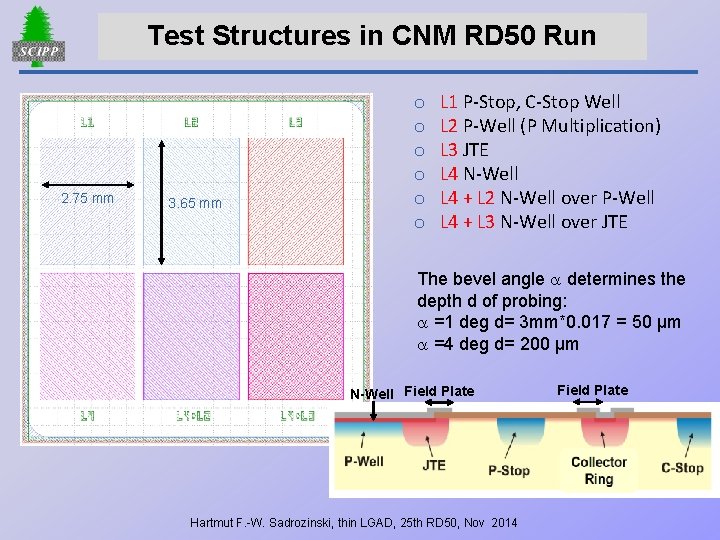 Test Structures in CNM RD 50 Run 2. 75 mm 3. 65 mm o