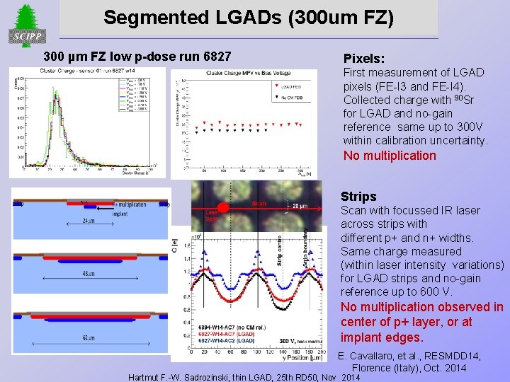 Segmented LGADs (300 um FZ) 300 µm FZ low p-dose run 6827 Pixels: First