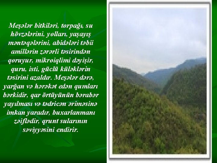 Meşələr bitkiləri, torpağı, su hövzələrini, yolları, yaşayış məntəqələrini, abidələri təbii amillərin zərərli təsirindən qoruyur, Meşələr bitkiləri, torpağı, su hövzələrini, yolları, yaşayış məntəqələrini, abidələri təbii amillərin zərərli təsirindən qoruyur,