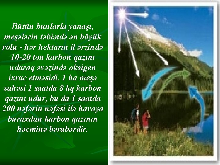 Bütün bunlarla yanaşı, meşələrin təbiətdə ən böyük rolu - hər hektarın il ərzində 10 Bütün bunlarla yanaşı, meşələrin təbiətdə ən böyük rolu - hər hektarın il ərzində 10
