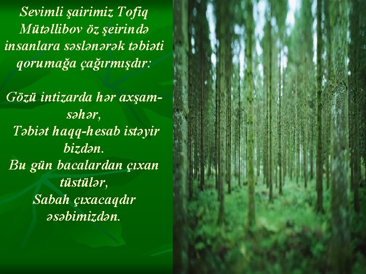 Sevimli şairimiz Tofiq Mütəllibov öz şeirində insanlara səslənərək təbiəti qorumağa çağırmışdır: Gözü intizarda hər Sevimli şairimiz Tofiq Mütəllibov öz şeirində insanlara səslənərək təbiəti qorumağa çağırmışdır: Gözü intizarda hər