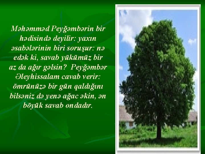 Məhəmməd Peyğəmbərin bir hədisində deyilir: yaxın əsabələrinin biri soruşur: nə edək ki, savab yükümüz Məhəmməd Peyğəmbərin bir hədisində deyilir: yaxın əsabələrinin biri soruşur: nə edək ki, savab yükümüz