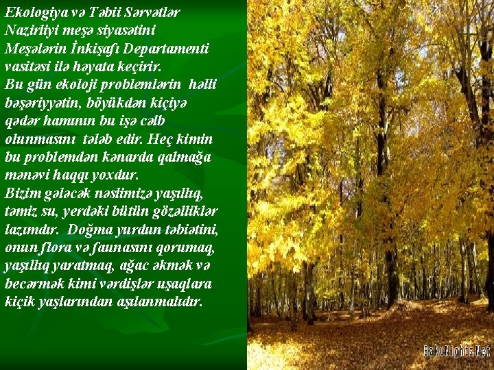 Ekologiya və Təbii Sərvətlər Nazirliyi meşə siyasətini Meşələrin İnkişafı Departamenti vasitəsi ilə həyata keçirir. Ekologiya və Təbii Sərvətlər Nazirliyi meşə siyasətini Meşələrin İnkişafı Departamenti vasitəsi ilə həyata keçirir.