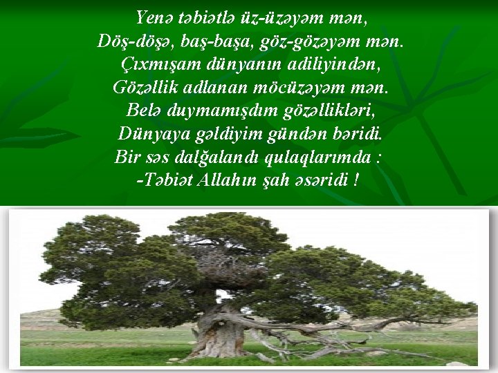 Yenə təbiətlə üz-üzəyəm mən, Döş-döşə, baş-başa, göz-gözəyəm mən. Çıxmışam dünyanın adiliyindən, Gözəllik adlanan möcüzəyəm Yenə təbiətlə üz-üzəyəm mən, Döş-döşə, baş-başa, göz-gözəyəm mən. Çıxmışam dünyanın adiliyindən, Gözəllik adlanan möcüzəyəm