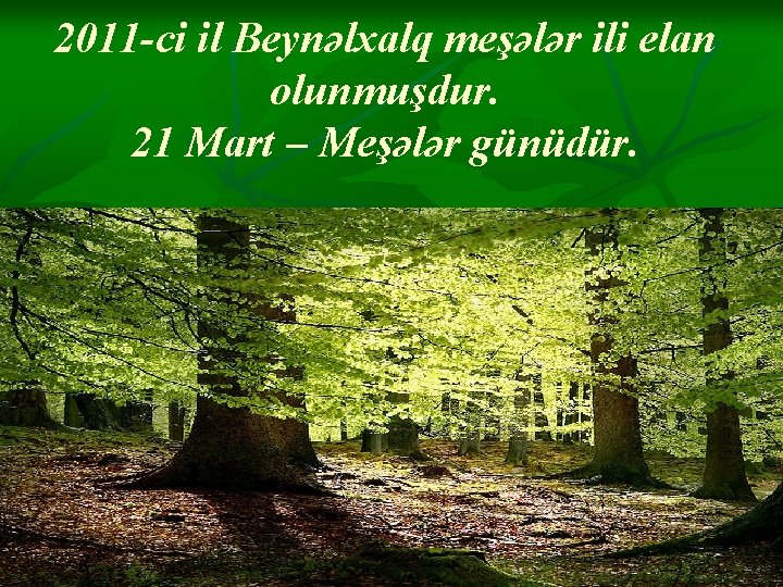 2011 -ci il Beynəlxalq meşələr ili elan olunmuşdur. 21 Mart – Meşələr günüdür. 2011 -ci il Beynəlxalq meşələr ili elan olunmuşdur. 21 Mart – Meşələr günüdür.