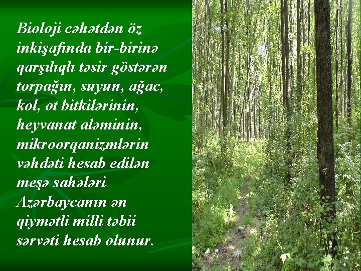 Bioloji cəhətdən öz inkişafında bir-birinə qarşılıqlı təsir göstərən torpağın, suyun, ağac, kol, ot bitkilərinin, Bioloji cəhətdən öz inkişafında bir-birinə qarşılıqlı təsir göstərən torpağın, suyun, ağac, kol, ot bitkilərinin,