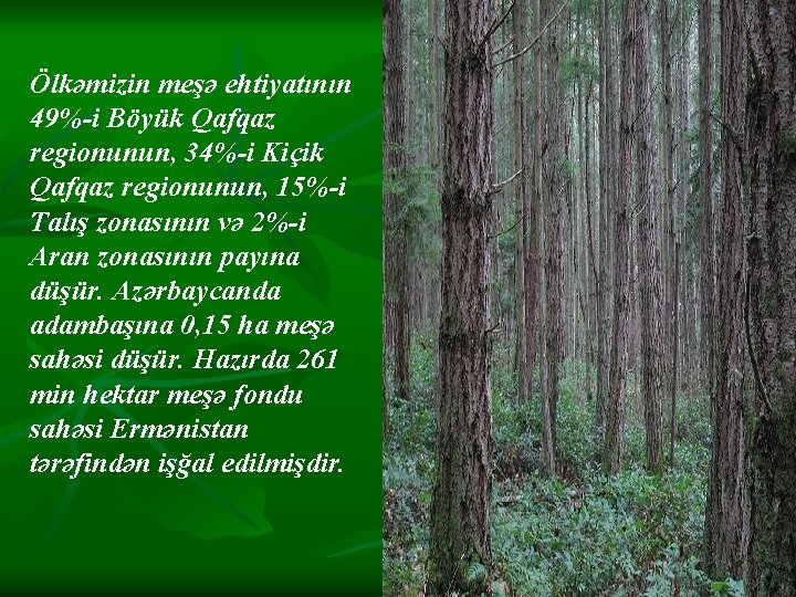 Ölkəmizin meşə ehtiyatının 49%-i Böyük Qafqaz regionunun, 34%-i Kiçik Qafqaz regionunun, 15%-i Talış zonasının Ölkəmizin meşə ehtiyatının 49%-i Böyük Qafqaz regionunun, 34%-i Kiçik Qafqaz regionunun, 15%-i Talış zonasının