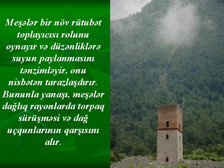 Meşələr bir növ rütubət toplayıcısı rolunu oynayır və düzənliklərə suyun paylanmasını tənzimləyir, onu nisbətən Meşələr bir növ rütubət toplayıcısı rolunu oynayır və düzənliklərə suyun paylanmasını tənzimləyir, onu nisbətən